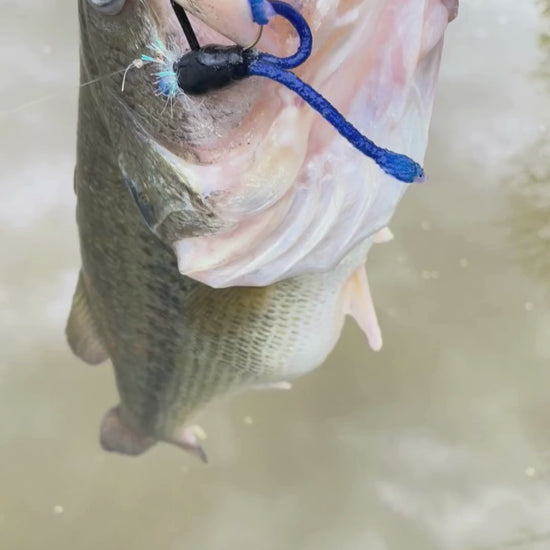 Blue Swimmer Bass Lure catching 5 pound bass