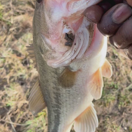 Swimmer Bait Lure catching Bass Fish